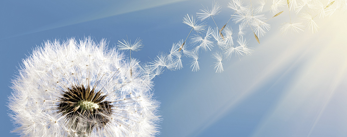 METAP II - Spitalexterne Ethik